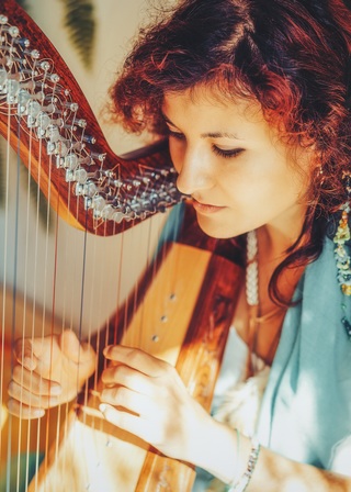 Stage de harpe, Vacances en famille, Cours violon-violoncelle